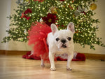 Red Christmas Dog Tutu Skirt | XS-XXXL