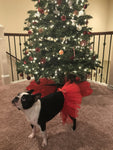 Red Christmas Dog Tutu Skirt | XS-XXXL