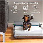 Automatic Self-Cleaning Indoor Pet Potty